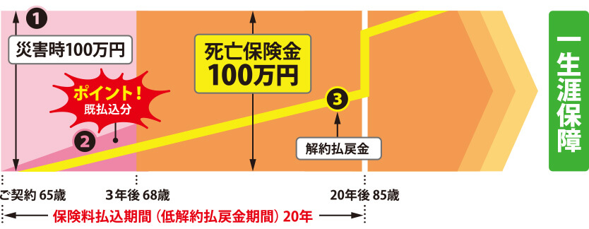 みどり生命 保険料払込期間と一生涯保障図